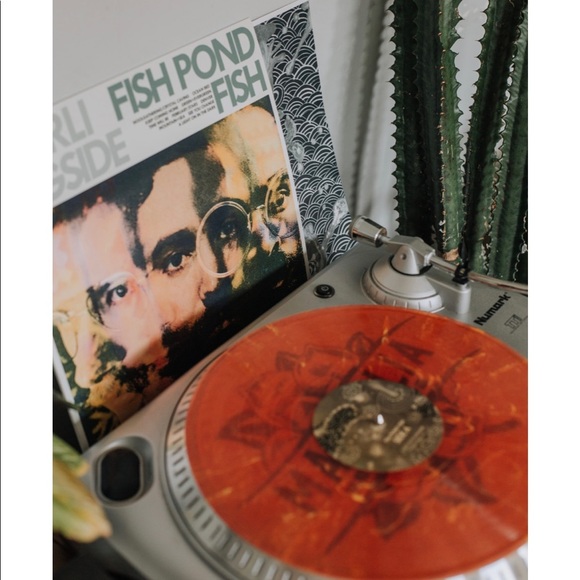 New in plastic Darlingside Fish Pond Fish Vinyl - Picture 2 of 9